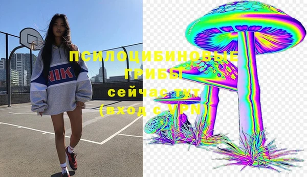 бошки Арсеньев