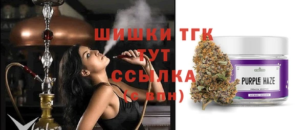 бошки Аркадак