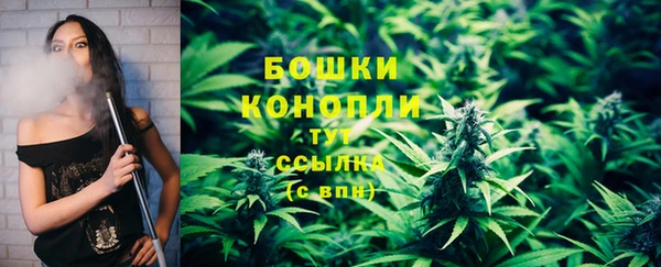 бошки Арсеньев