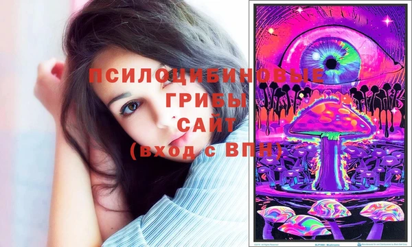 бошки Аркадак