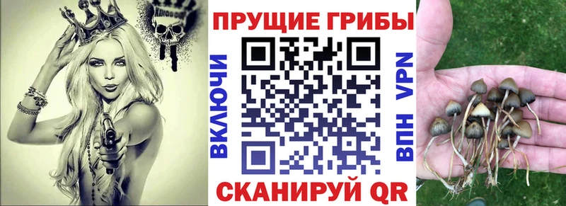 Галлюциногенные грибы ЛСД  закладки  Певек 